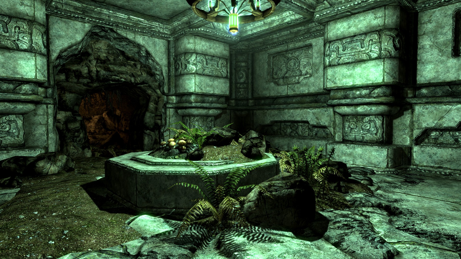 Ferns in a dwarven ruin