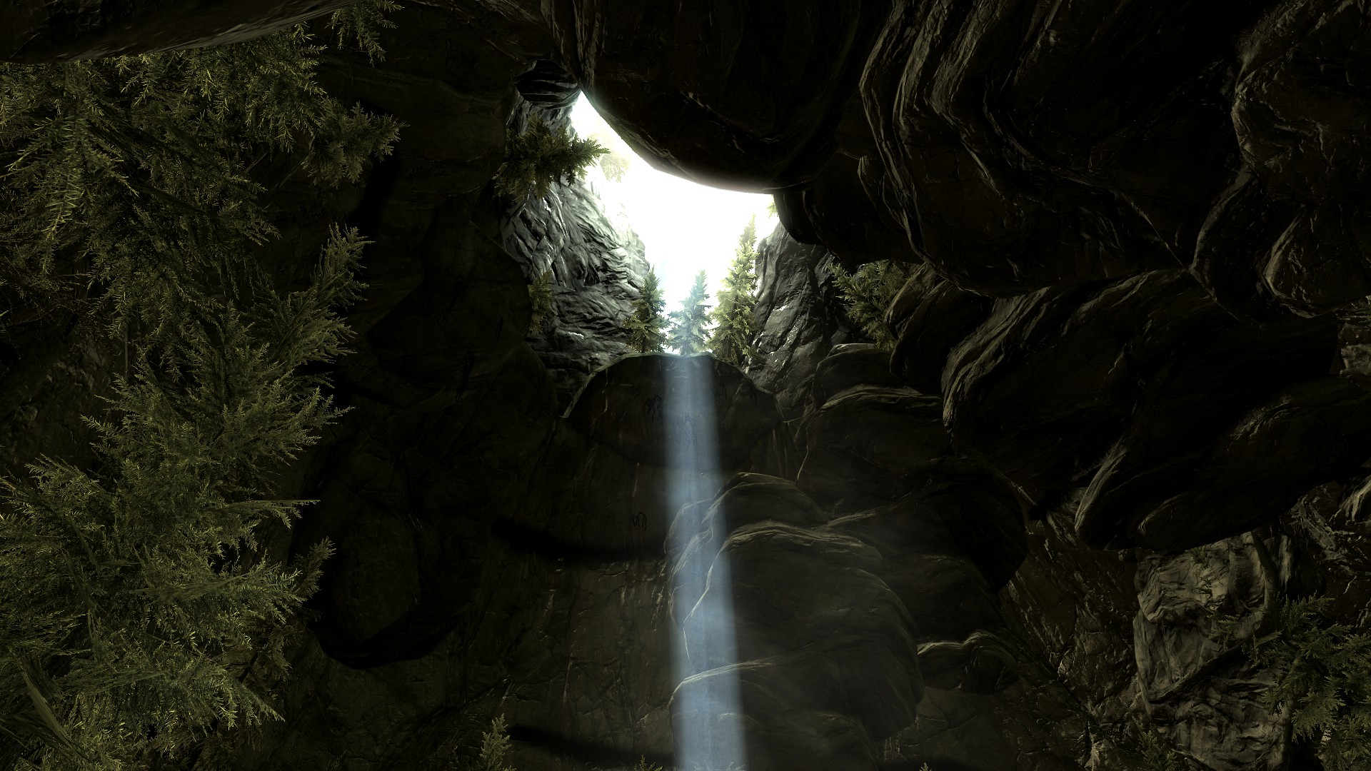 Hole at top of moth grove