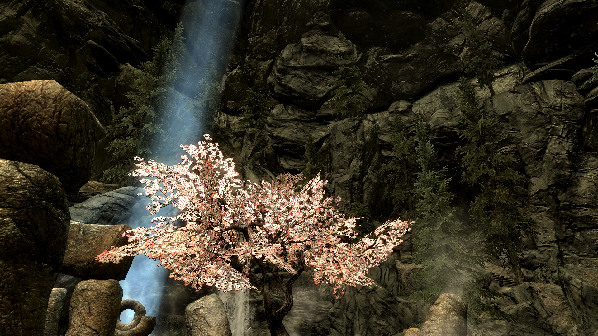 Moth grove tree