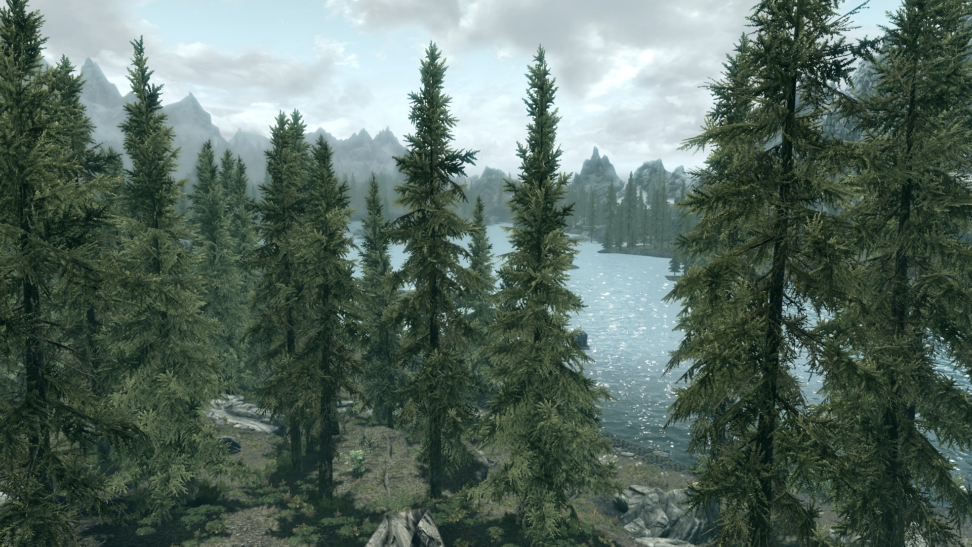 View of trees and lake